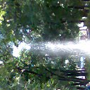 ���� ������, ���������, 39 ��� - ��������� 6 ����� 2011