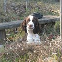 ���� ������, �������, 60 ��� - ��������� 24 ������ 2012