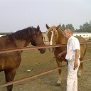 ���� ������� �������, ������, 51 ��� - ��������� 9 ����� 2013 � ������ ���� ����������