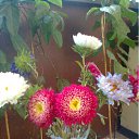 ���� ���������, ��������, 49 ��� - ��������� 5 �������� 2011 � ������ ������)))�