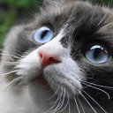 ���� �����, ������, 60 ��� - ��������� 28 ���� 2012 � ������ ���� ����������