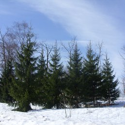 ���� �����, ��������� - ��������� 19 ������� 2010