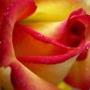 ���� ��������, ����� - ��������� 22 ������� 2009 � ������ ���� �������� ��������