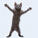 ���� ������ �����, ������, 24 ���� - ��������� 9 ���� 2011 � ������ ������