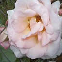 ���� ������� :����� �����!!!, ������������ - ��������� 18 �������� 2012 � ������ �������