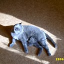 ���� �������, ����, 59 ��� - ��������� 3 ������� 2011 � ������ ������ ������ � ���� ��һ
