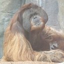 ���� �������, ��������-��-������, 68 ��� - ��������� 25 ������� 2013 � ������ ���� ����������