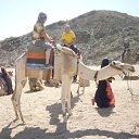 ���� �����, �����-���������, 37 ��� - ��������� 25 ����� 2012 � ������ �������