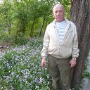 ���� ��������, ���������, 73 ���� - ��������� 3 �������� 2012 � ������ ���� ����������