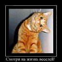 ���� �����, �����-���������, 39 ��� - ��������� 16 ������ 2011 � ������ ������������