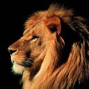 ���� �������, ������, 41 ��� - ��������� 11 ������ 2012 � ������ ���� ����������