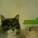 ���� ���������, ����, 53 ���� - ��������� 9 ����� 2012 � ������ ������