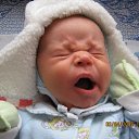 ���� �����, ������ - ��������� 13 ������� 2010 � ������ ��������