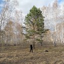 ���� �������!, �������������, 42 ���� - ��������� 9 ��� 2013 � ������ ���� ����������