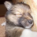 ���� �������, ��������, 52 ���� - ��������� 25 ������� 2011 � ������ ���� ������