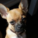 ���� Ju, ������, 27 ��� - ��������� 24 ������� 2011 � ������ ���������