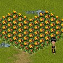 ���� �����, �������� - ��������� 31 ������ 2013 � ������ �Tropikania�