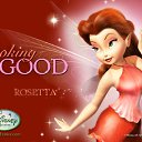 ���� ��������, ������������, 24 ���� - ��������� 15 ������ 2010 � ������ ����!!!�