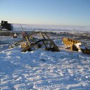 ���� ���������, �������������-����������, 53 ���� - ��������� 28 ������ 2013 � ������ ���� ����������