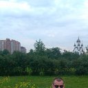 ���� ������, �������, 43 ���� - ��������� 17 ������� 2013