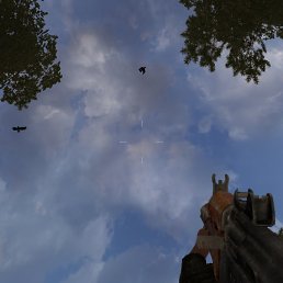 ���� ���, ��������, 41 ��� - ��������� 24 ������� 2012