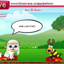 ���� ����, ������-��-����, 23 ���� - ��������� 9 ������ 2010 � ������ �PetLove�