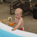 ���� �����, ������ - ��������� 7 ���� 2010 � ������ ��������