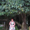 ���� ������, ������, 66 ��� - ��������� 18 ���� 2012 � ������ ���� ����������