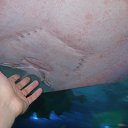 ���� Dmitriy, �����������, 36 ��� - ��������� 22 ���� 2013 � ������ ��������, ��������, �������, ���-�����