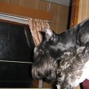 � � ������� ����... �� ������� ���� ����..�