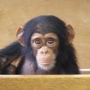 ���� ��������, ����� - ��������� 4 ������� 2013 � ������ ���� ����������