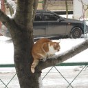 ���� ��������, ������ - ��������� 8 ����� 2011 � ������ �����-���