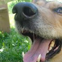 ��� �� ������ �� ������� ���� ����������