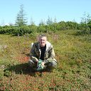 ���� �������, �����������, 49 ��� - ��������� 11 ���� 2013 � ������ ���� ����������