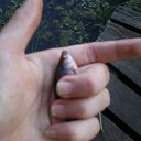 ���� �������, ����, 56 ��� - ��������� 19 ������� 2011 � ������ ���� ����������