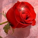 ���� ���, �������, 33 ���� - ��������� 1 ������ 2010 � ������ �~�����~�