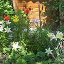  **** , , 64  -  14  2011    20011