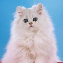 ���� �����, ������, 55 ��� - ��������� 5 ����� 2012