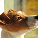  , , 23  -  5  2011   PetLove