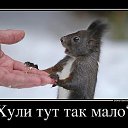 ���� ��������, �����, 44 ���� - ��������� 17 ������� 2012 � ������ �������