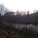  Serzh Van Der Maaremaan,  -  9  2009    