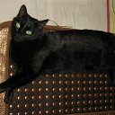 ���� �����, ������, 53 ���� - ��������� 18 ������ 2011 � ������ �������