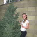 ���� �����, ������, 36 ��� - ��������� 17 ������� 2012 � ������ �2011 ���