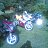 ���� �������, ���������, 43 ���� - ��������� 30 ����� 2011
