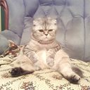 ���� �������, ���������, 61 ��� - ��������� 18 ����� 2012 � ������ ���� ����������