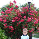 ���� �����, ���������, 42 ���� - ��������� 11 �������� 2011 � ������ ���� ��