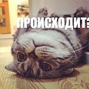 ���� ]{() � � -�]{ @, ������-��-���� - ��������� 20 ���� 2013 � ������ ���� ����������