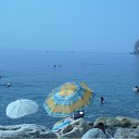 ���� ���������, �����-���������, 37 ��� - ��������� 9 �������� 2010 � ������ ������������ 2010.�