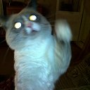 ���� ��������, ������������, 72 ���� - ��������� 7 ���� 2013 � ������ ���� ����������