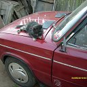 ���� �������, �������, 44 ���� - ��������� 31 ���� 2010